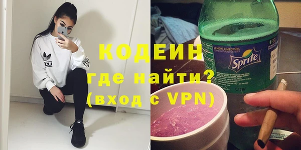 хмурый Верея