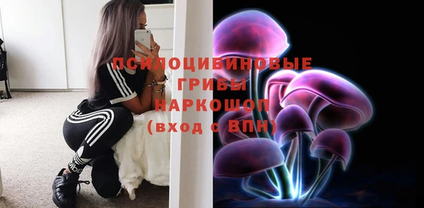 хмурый Верея