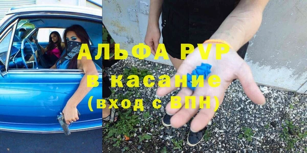 хмурый Верея