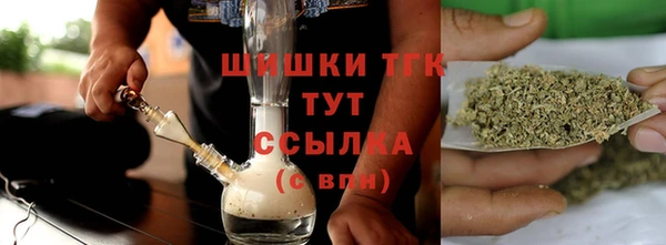 хмурый Верея