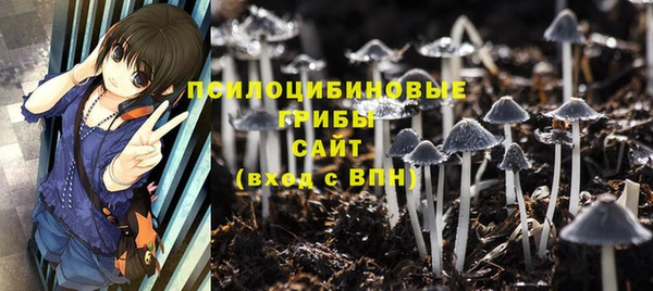 молекула духа Бородино