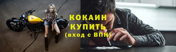 ПСИЛОЦИБИНОВЫЕ ГРИБЫ Верхний Тагил