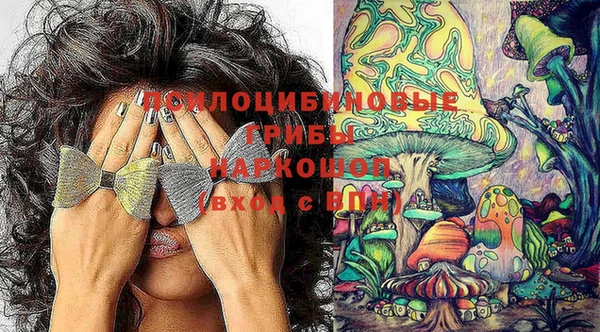 хмурый Верея