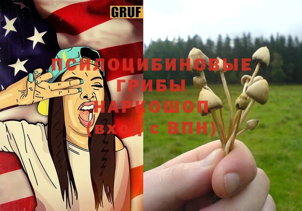 хмурый Верея