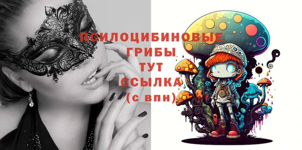 ПСИЛОЦИБИНОВЫЕ ГРИБЫ Верхний Тагил