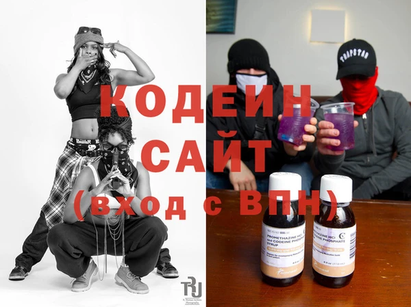 хмурый Верея